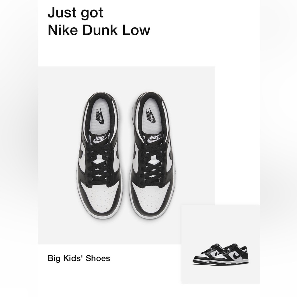 Nike Dunk Low (GS)